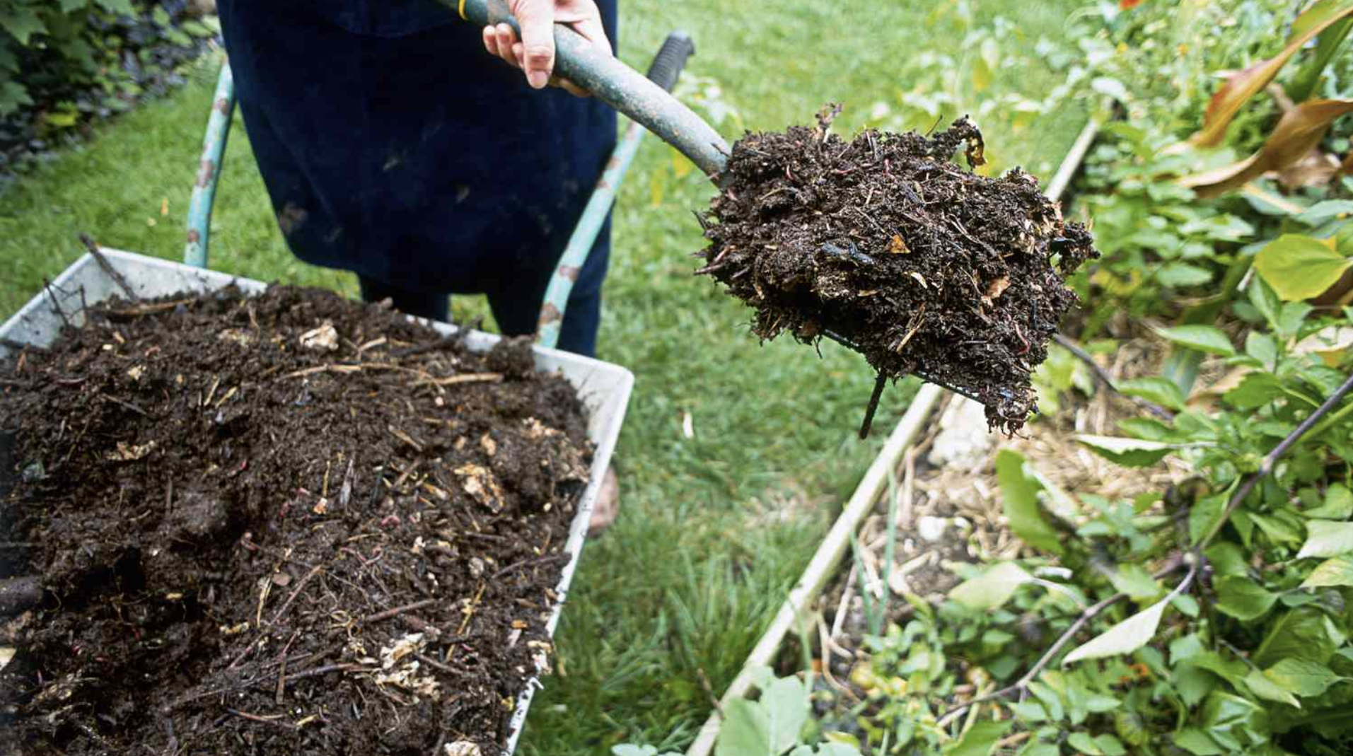 Add_a_Layer_of_Compost