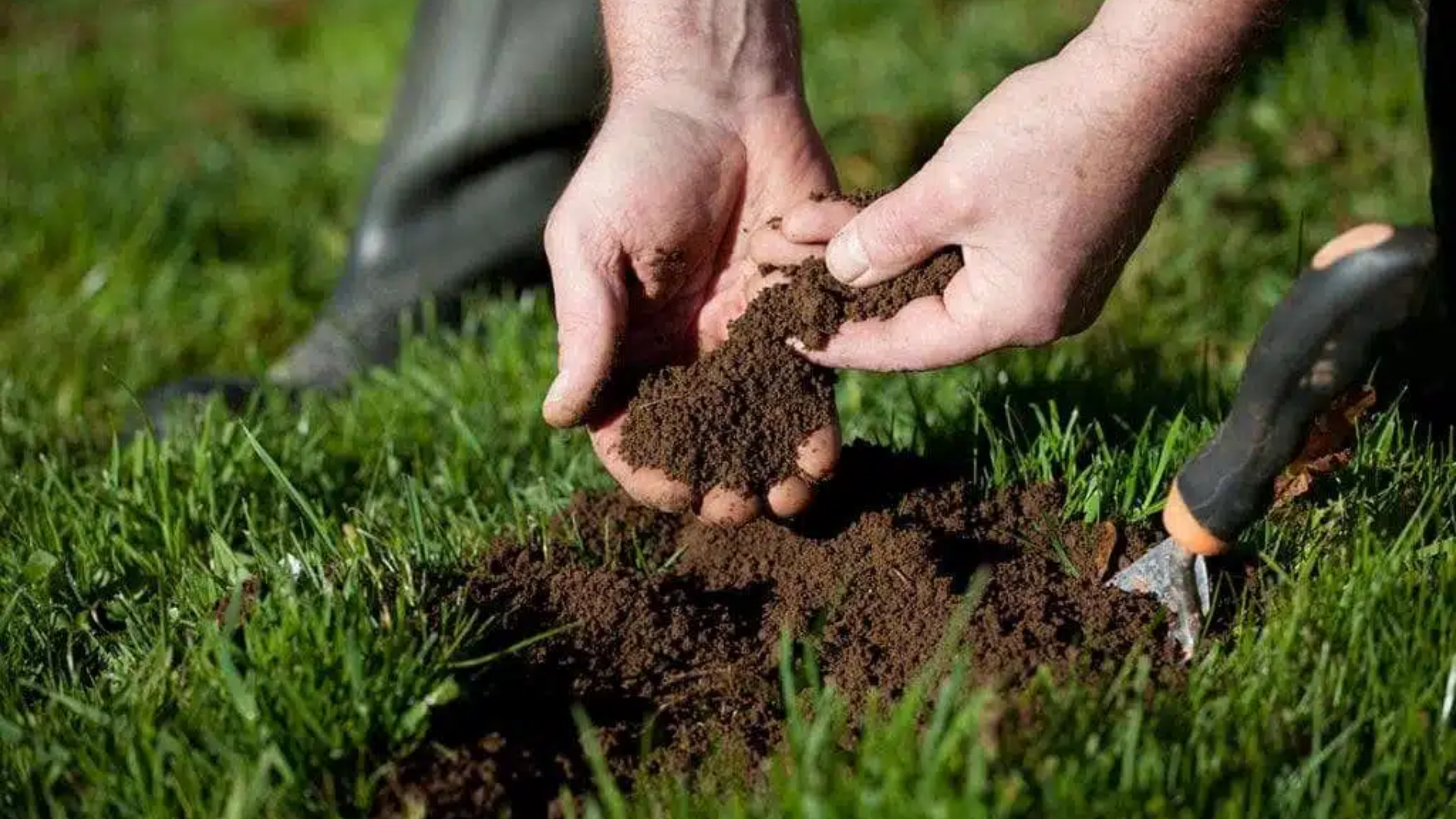 Check_Your_Soil