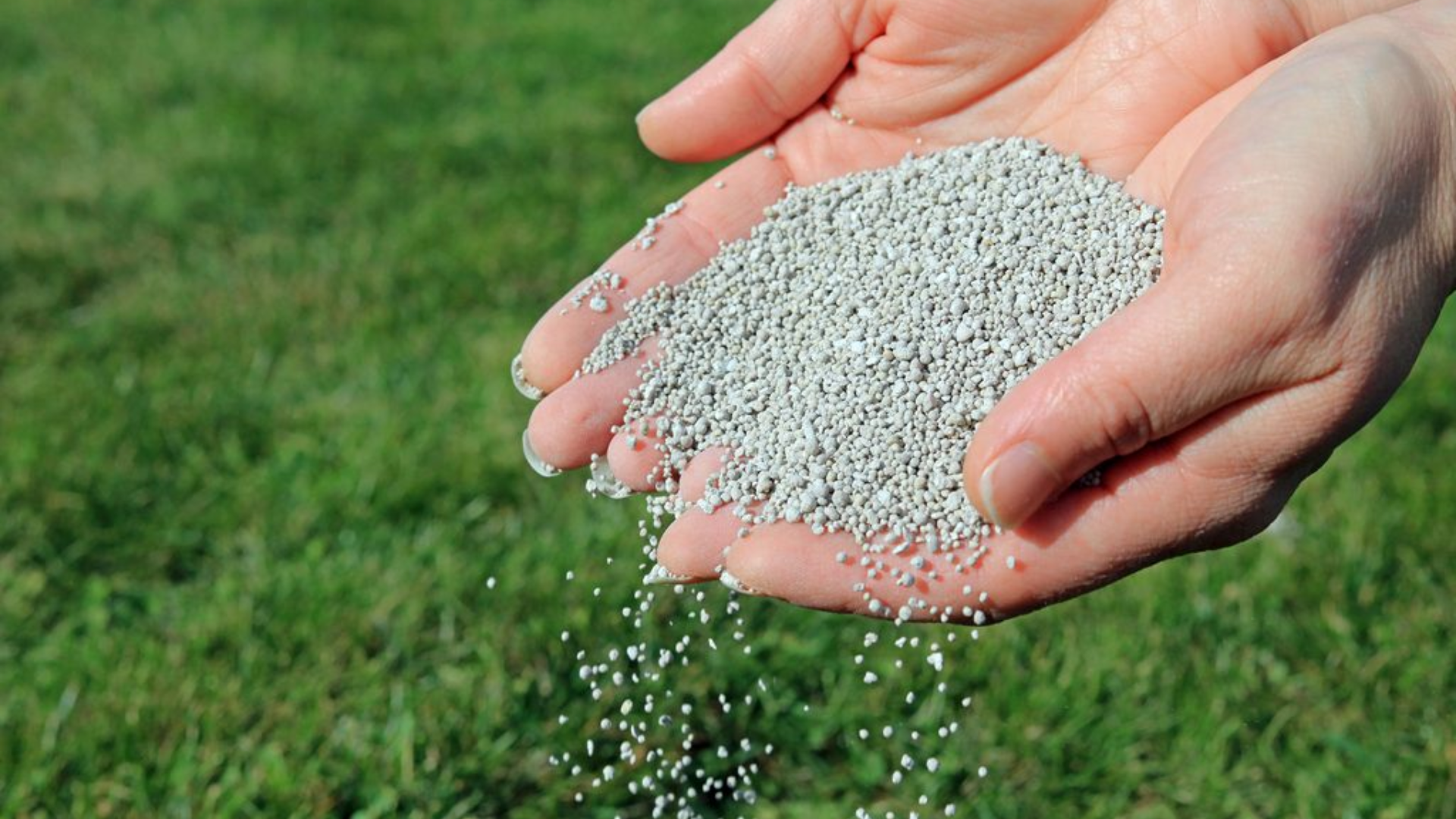 Fertilize_for_Healthy_Growth