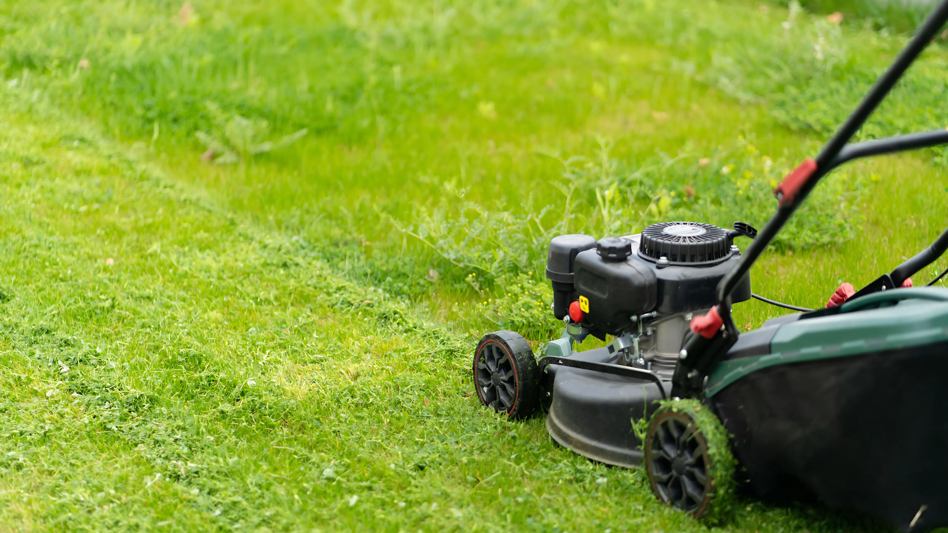 Mow_at_the_Right_Height