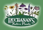 Buchanans Plants