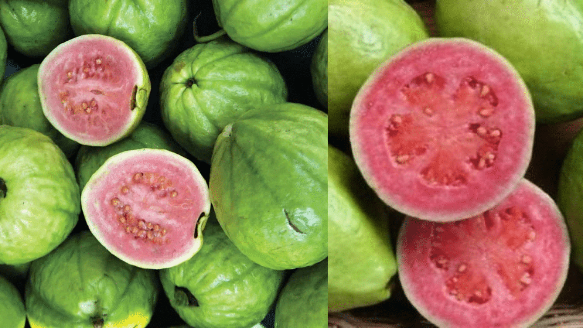 Brazilian_Guava