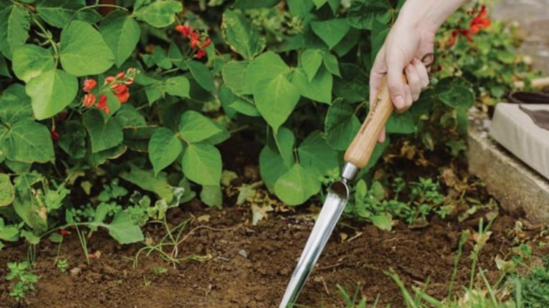 What Is a Widger? A Simple Guide