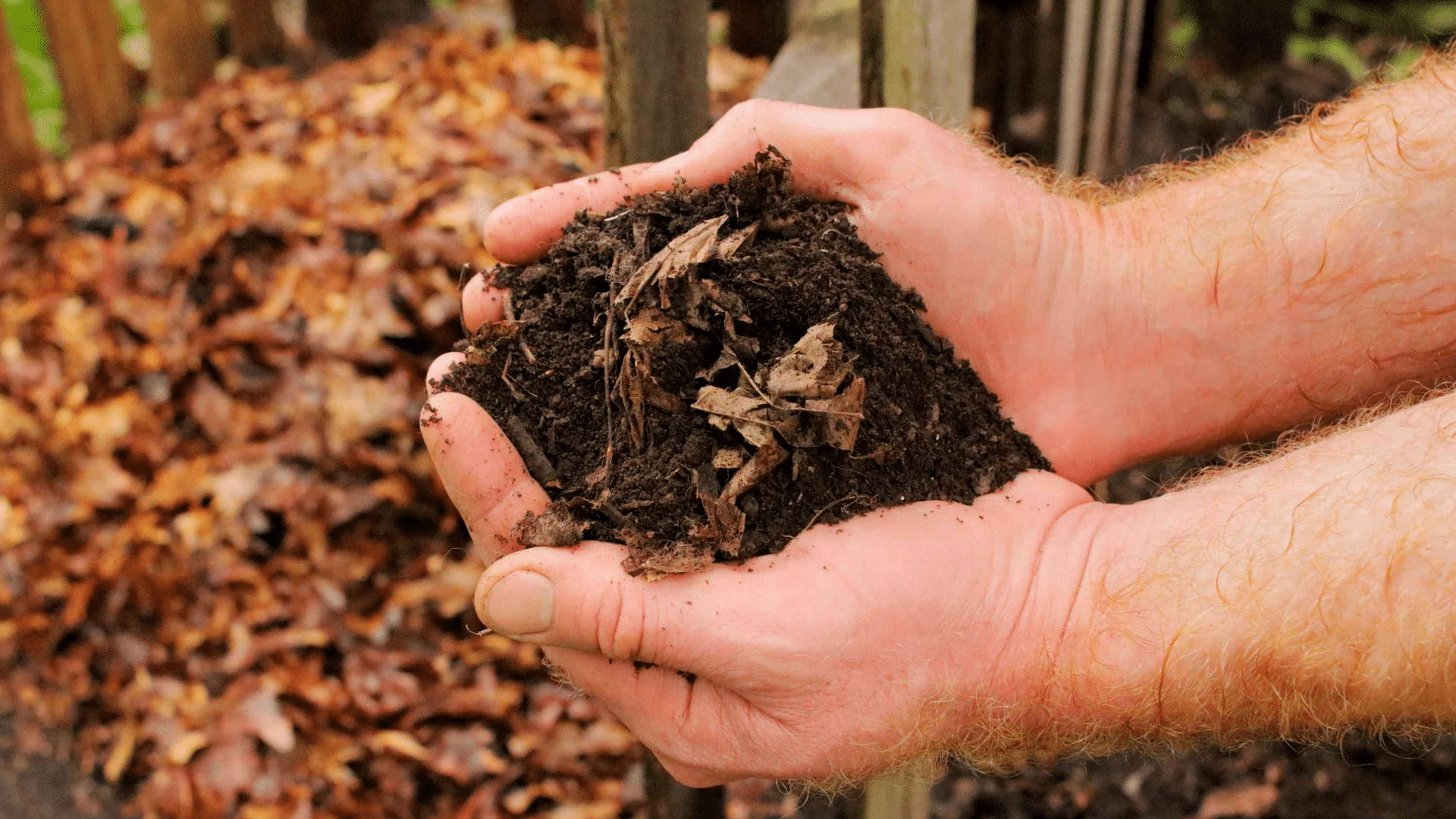 What_Is_Leaf_Mulch