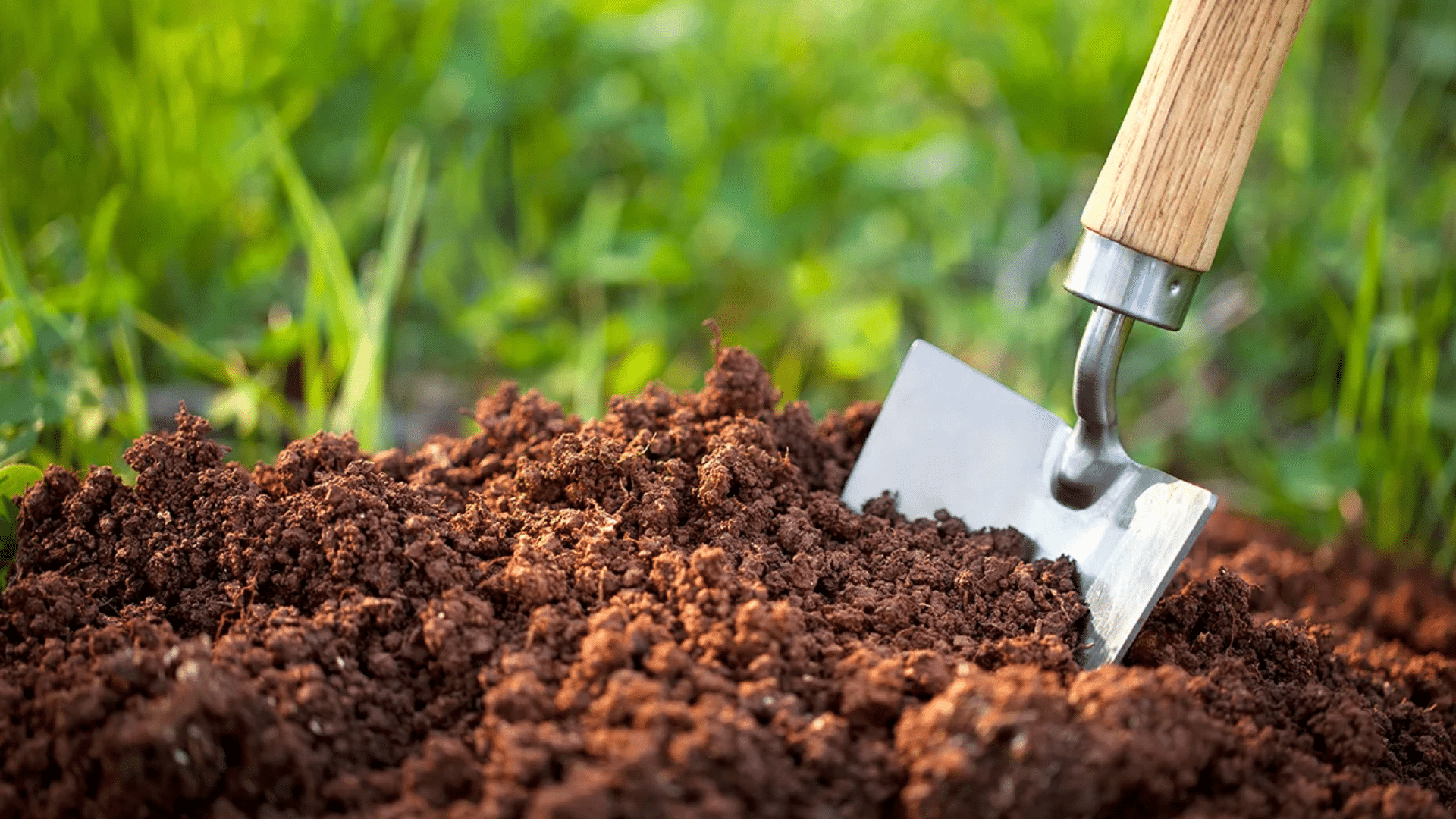 What_Kind_of_Topsoil_Works_Best_for_Grass