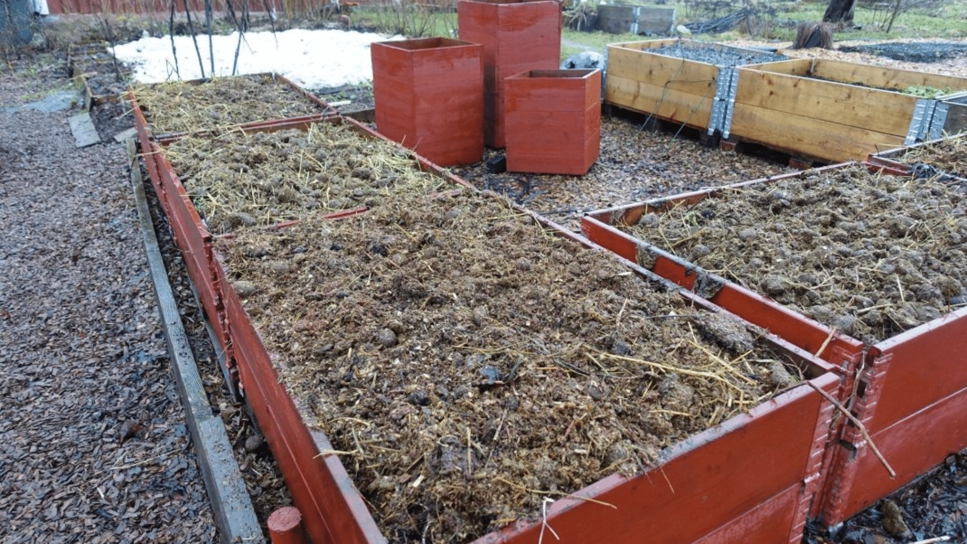 What_Type_of_Horse_Manure_Is_Safer_to_Use