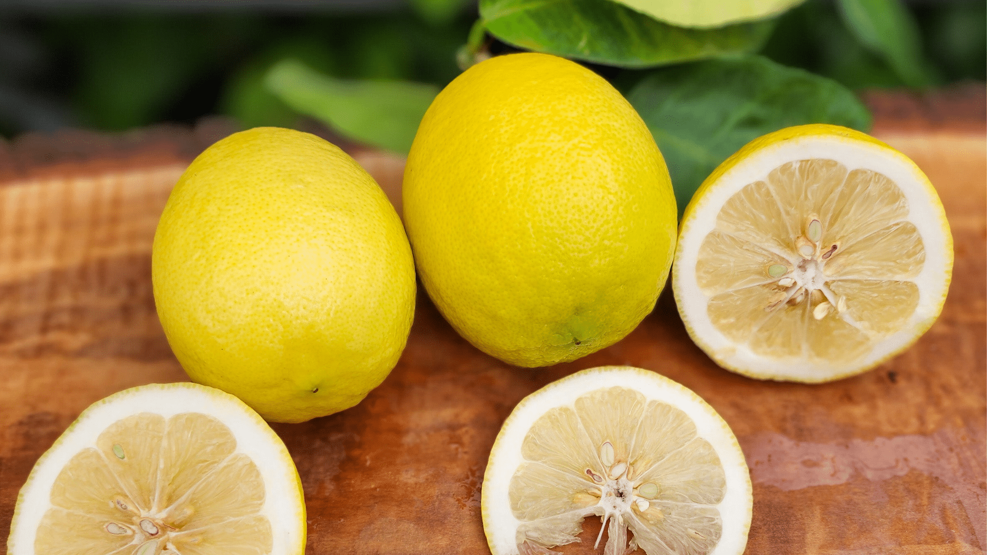 Baboon_Lemon