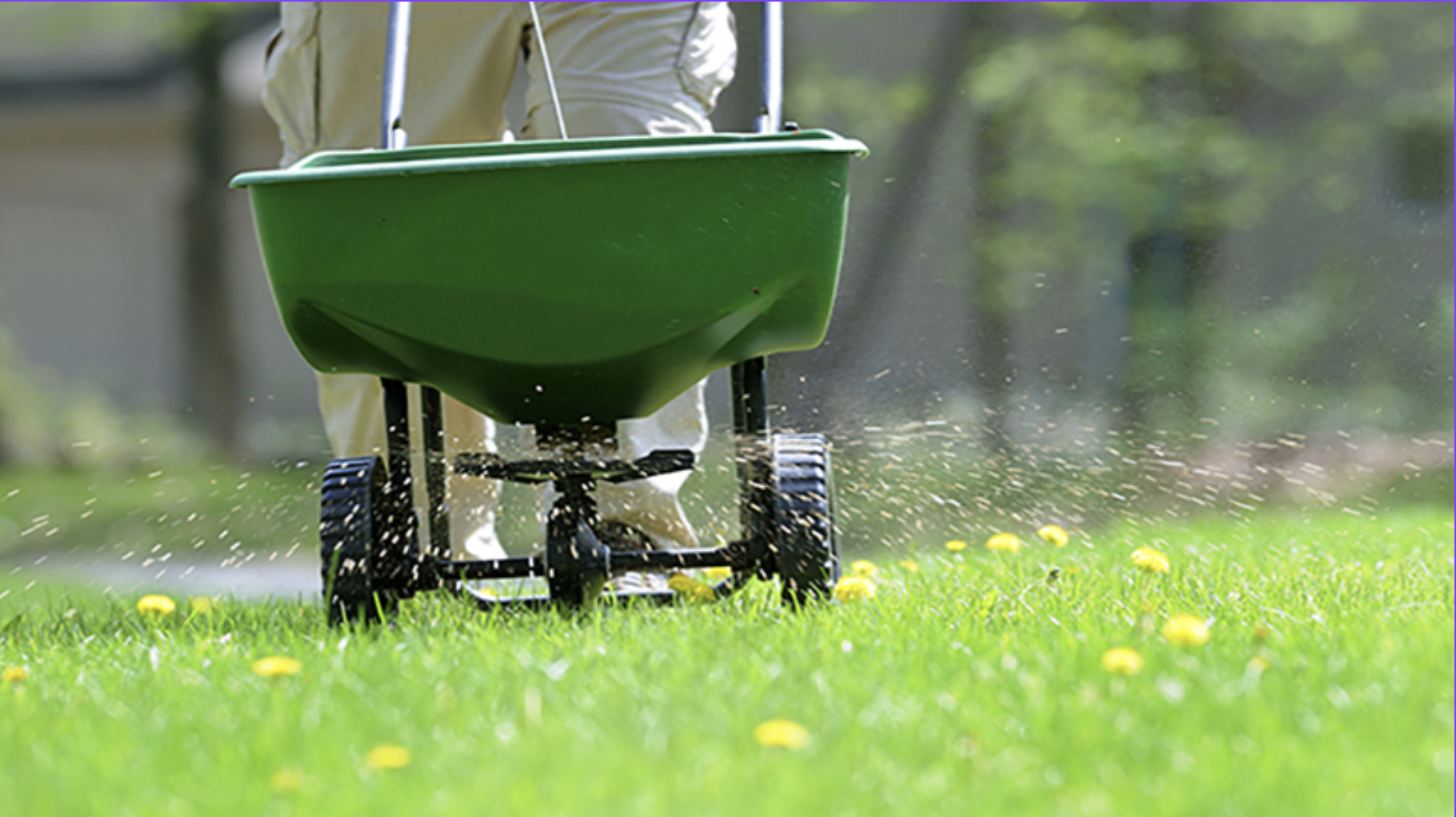 Best-Practices-for-Lawn-Fertilization