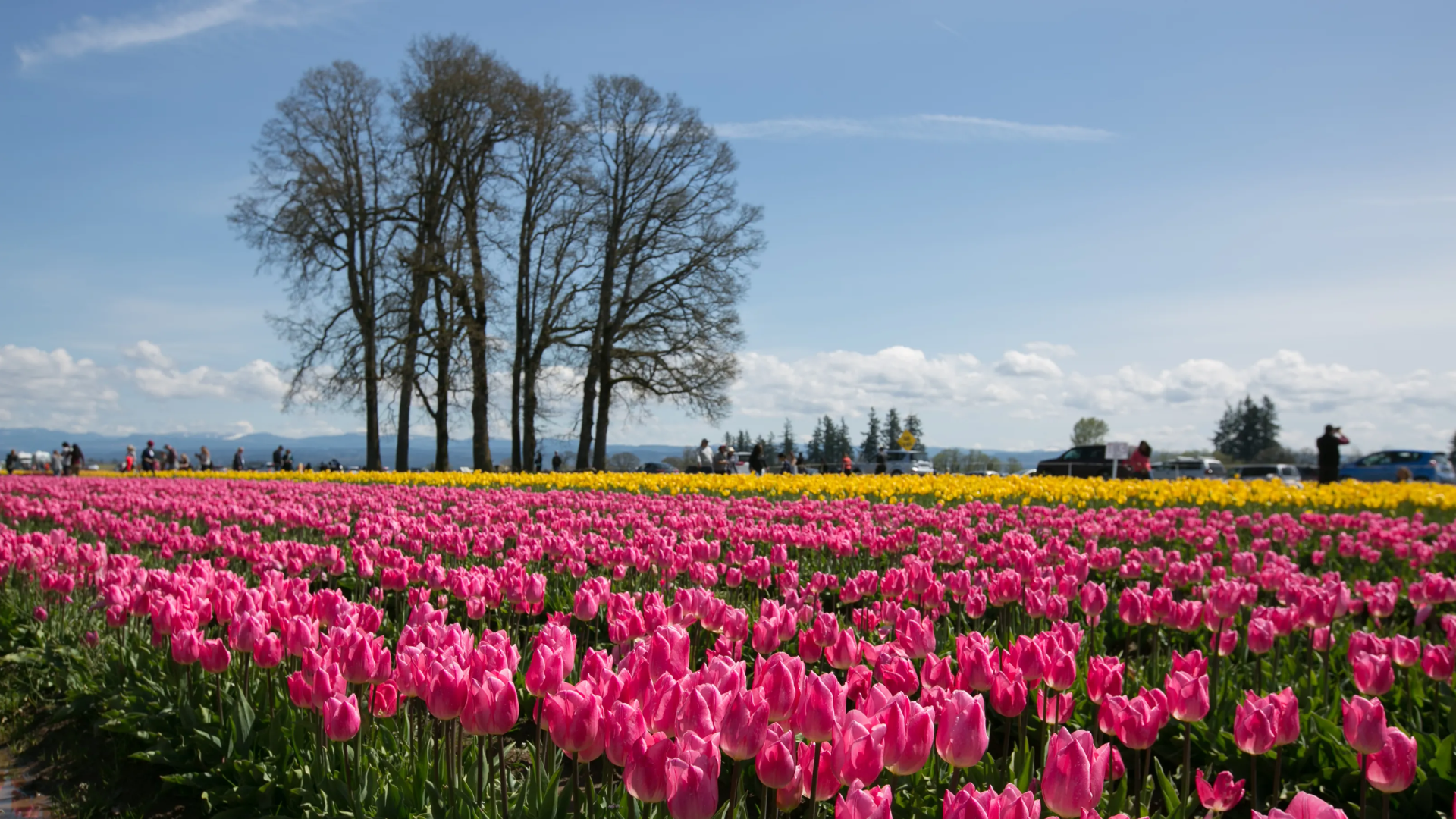 Brooks_Gardens_Oregon_USA
