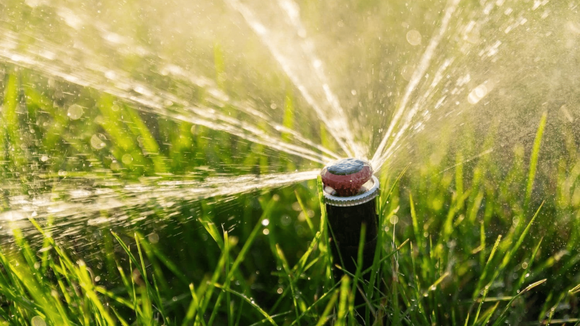 Bubbler_Heads_Soaker_Style_Watering