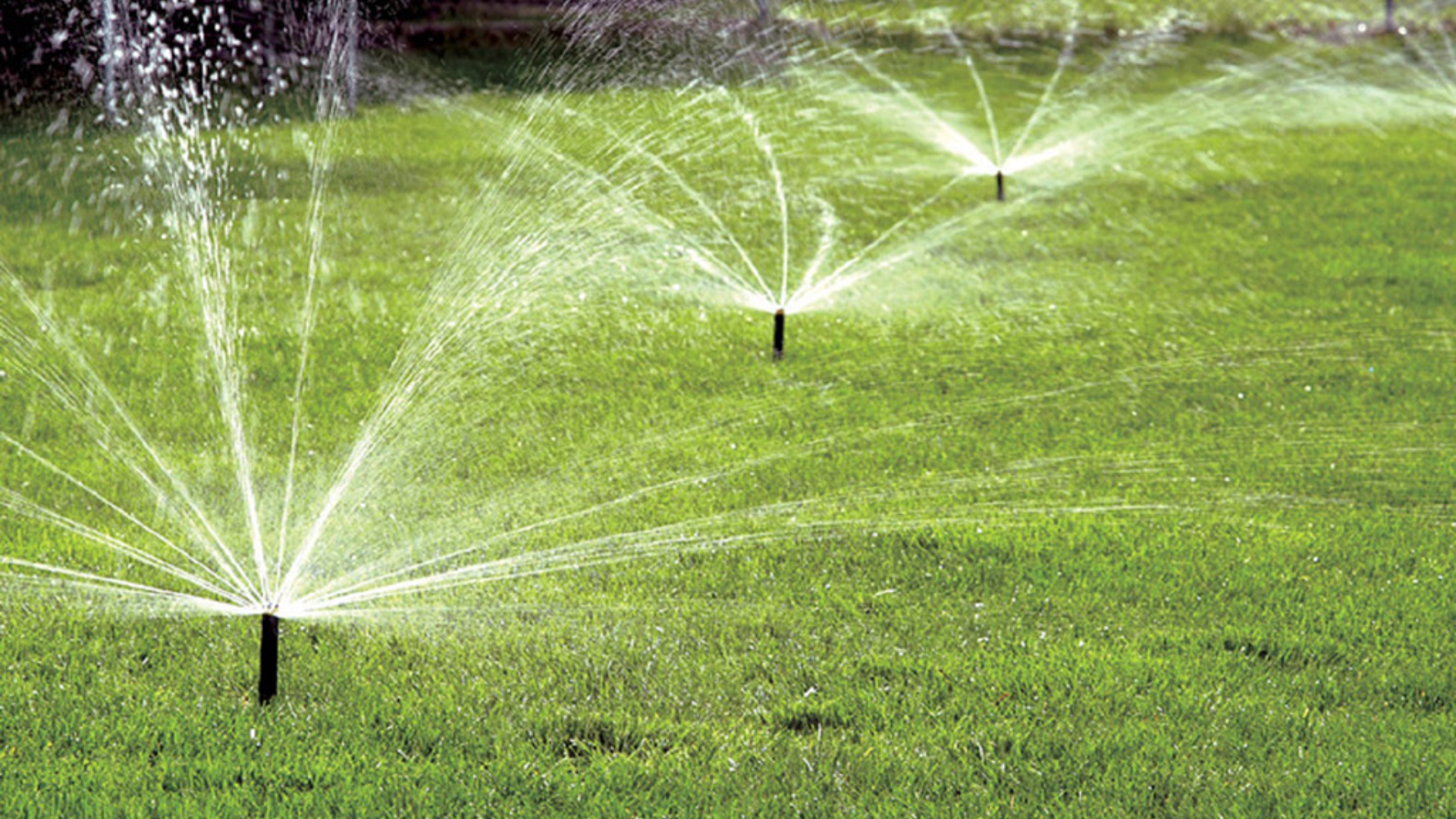 Choosing the Right Sprinkler Head for Your Yard