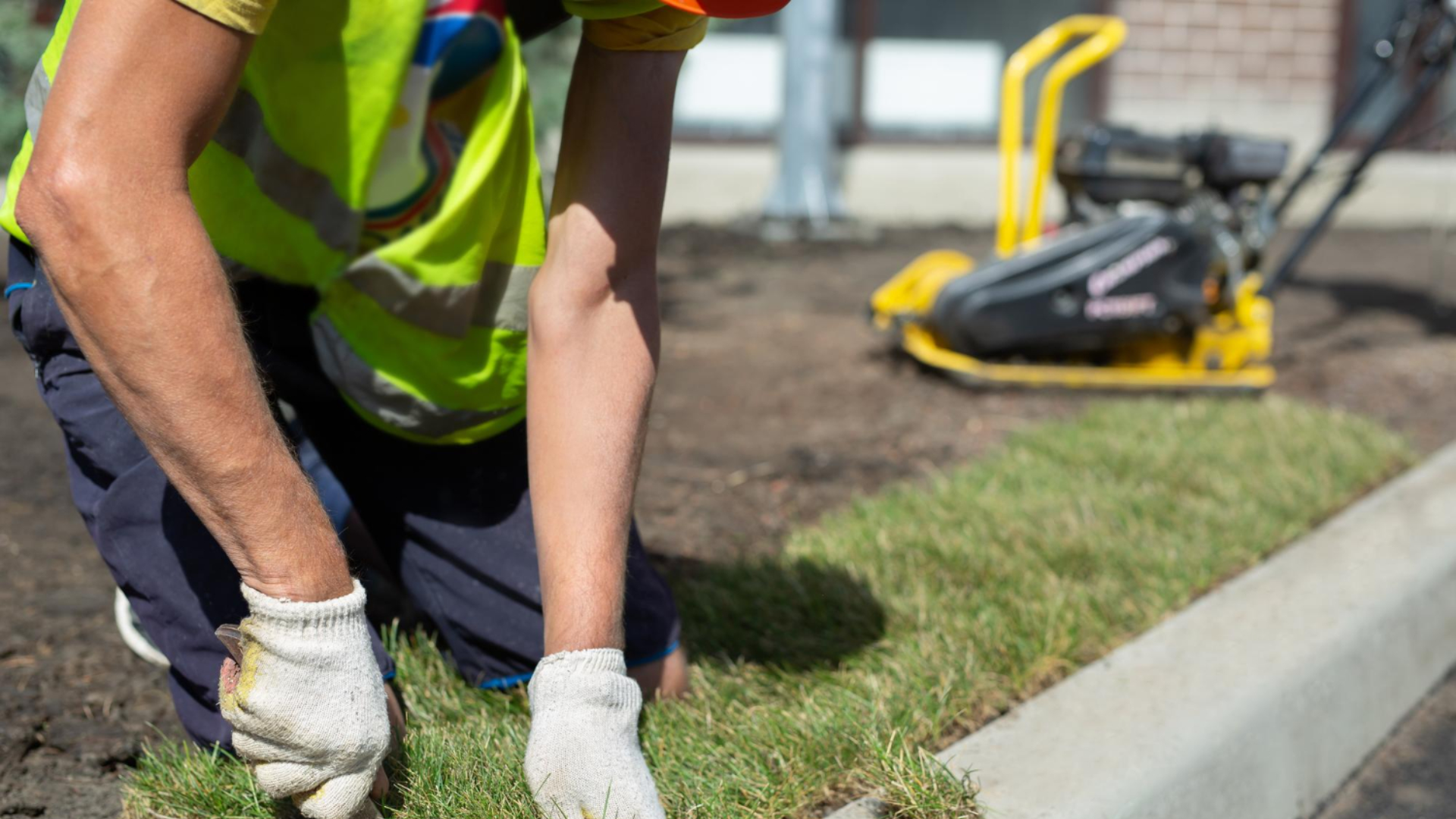 Common Sod Laying Mistakes You Should Avoid
