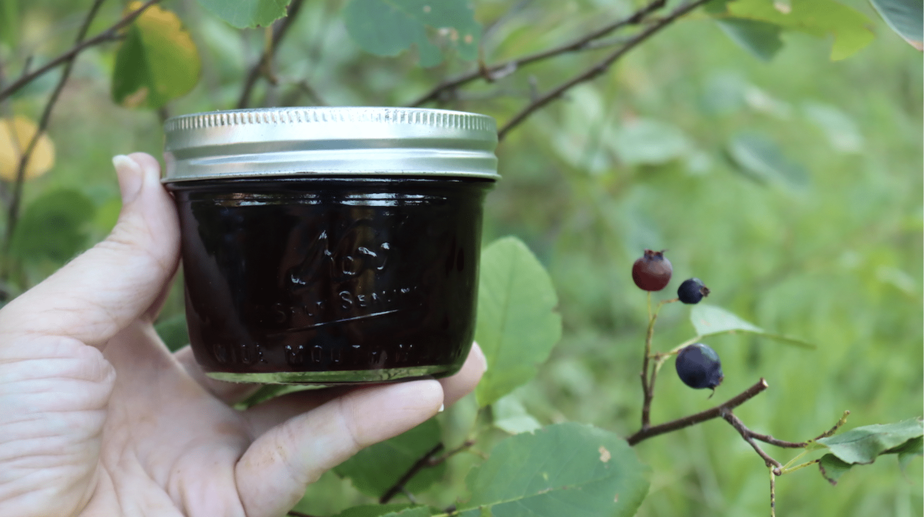 Delicious_Things_to_Make_with_Juneberries
