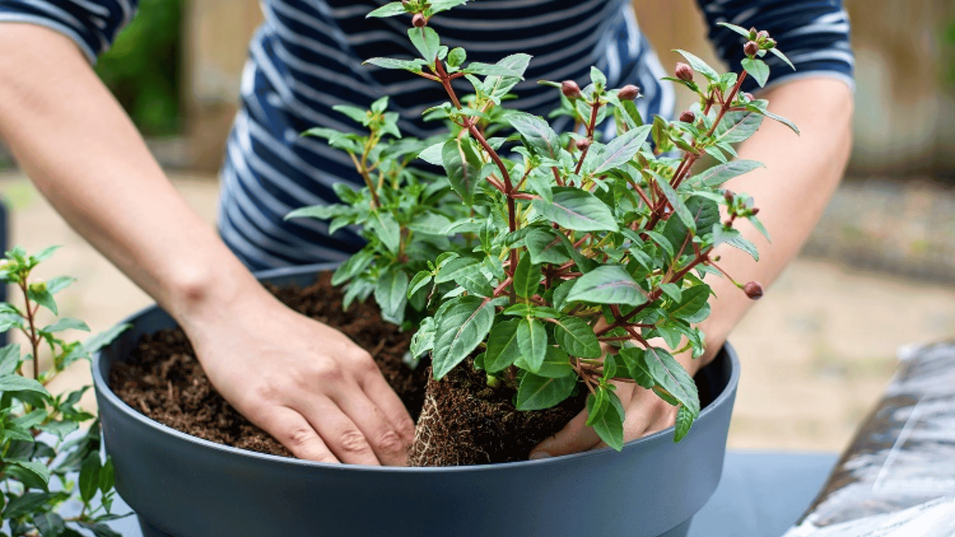 Easy Guide to Filling Tall Planters for Any Garden