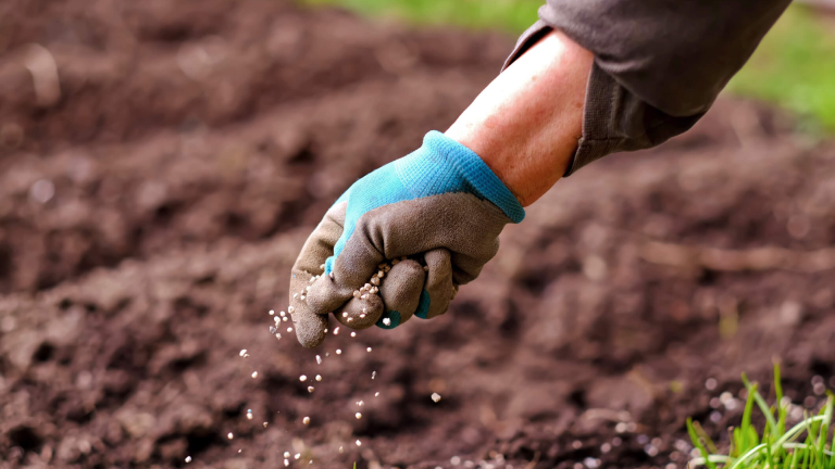 Easy Ways to Enrich Your Garden Soil