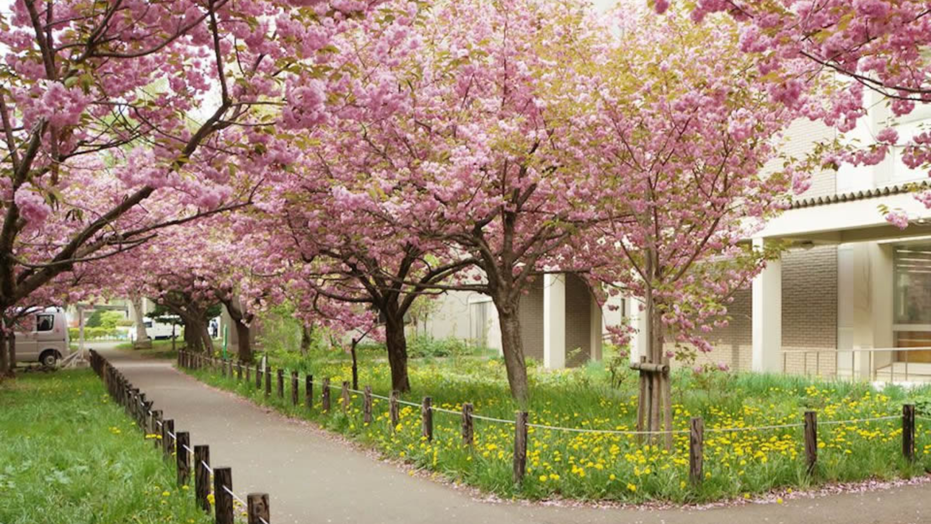 Hokkaido_University_Botanical_Gardens_Japan