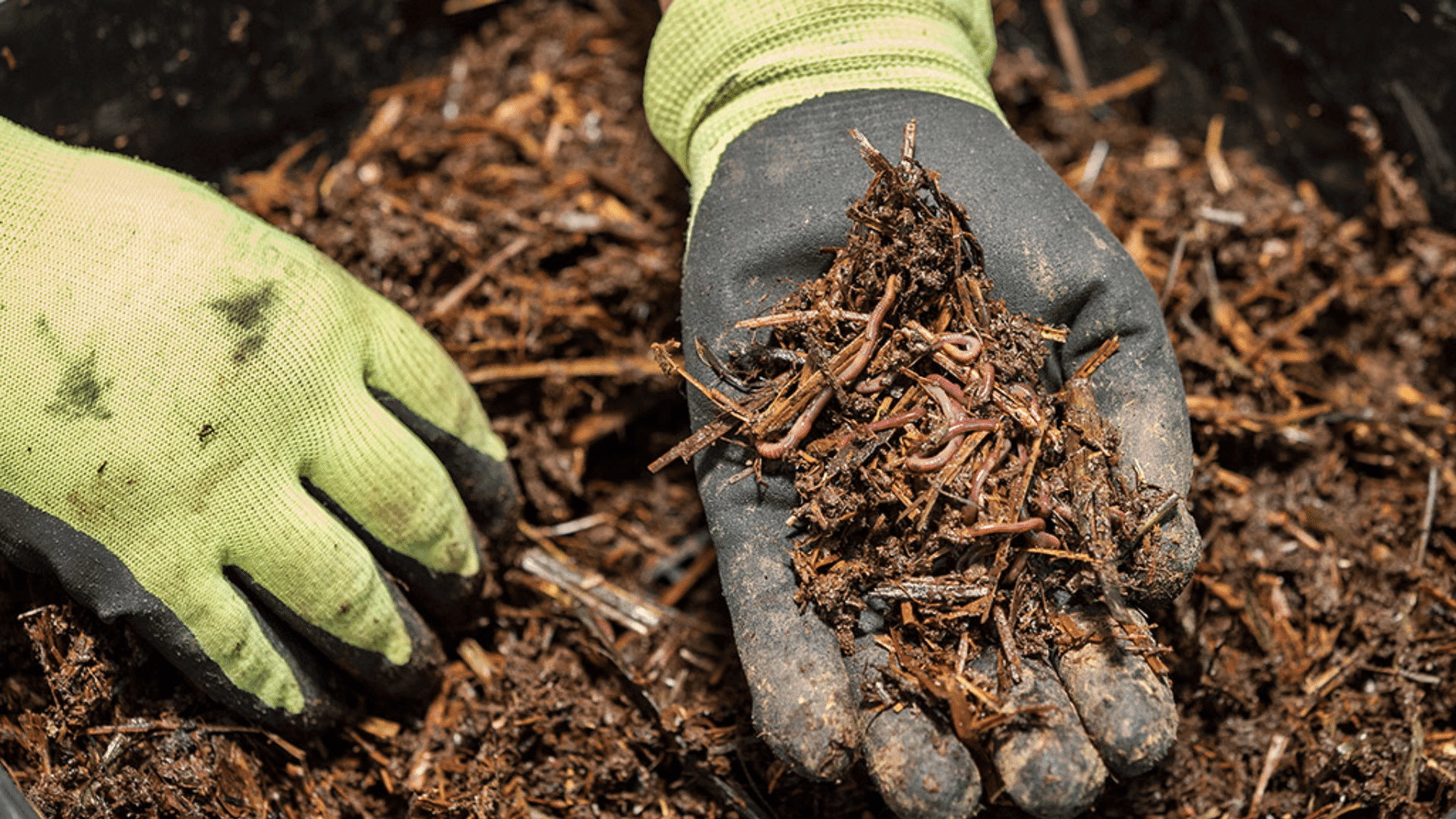 How Long Does Mulch Really Last?