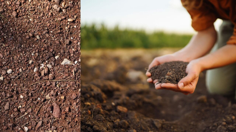 How Much Topsoil Do You Really Need