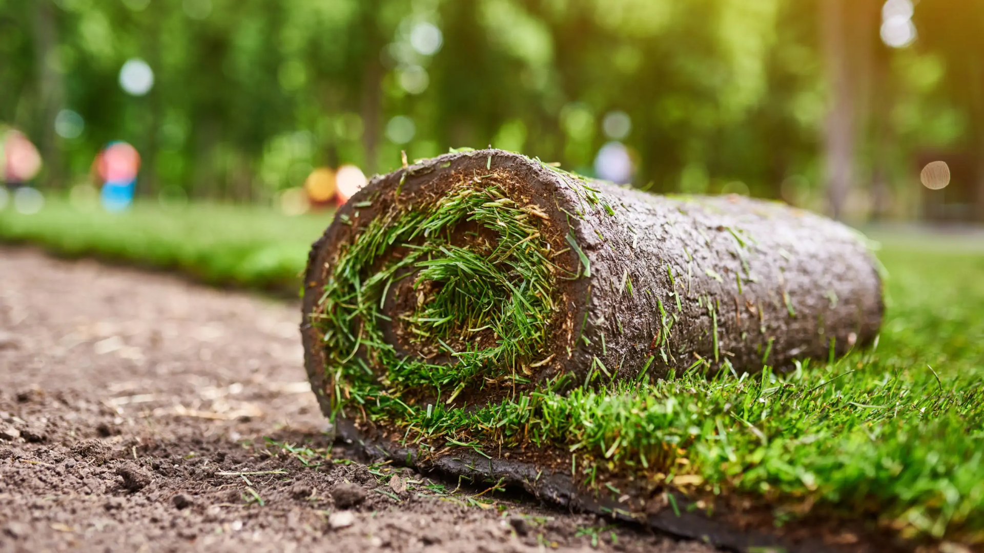 How-to-Help-Sod-Root-Faster
