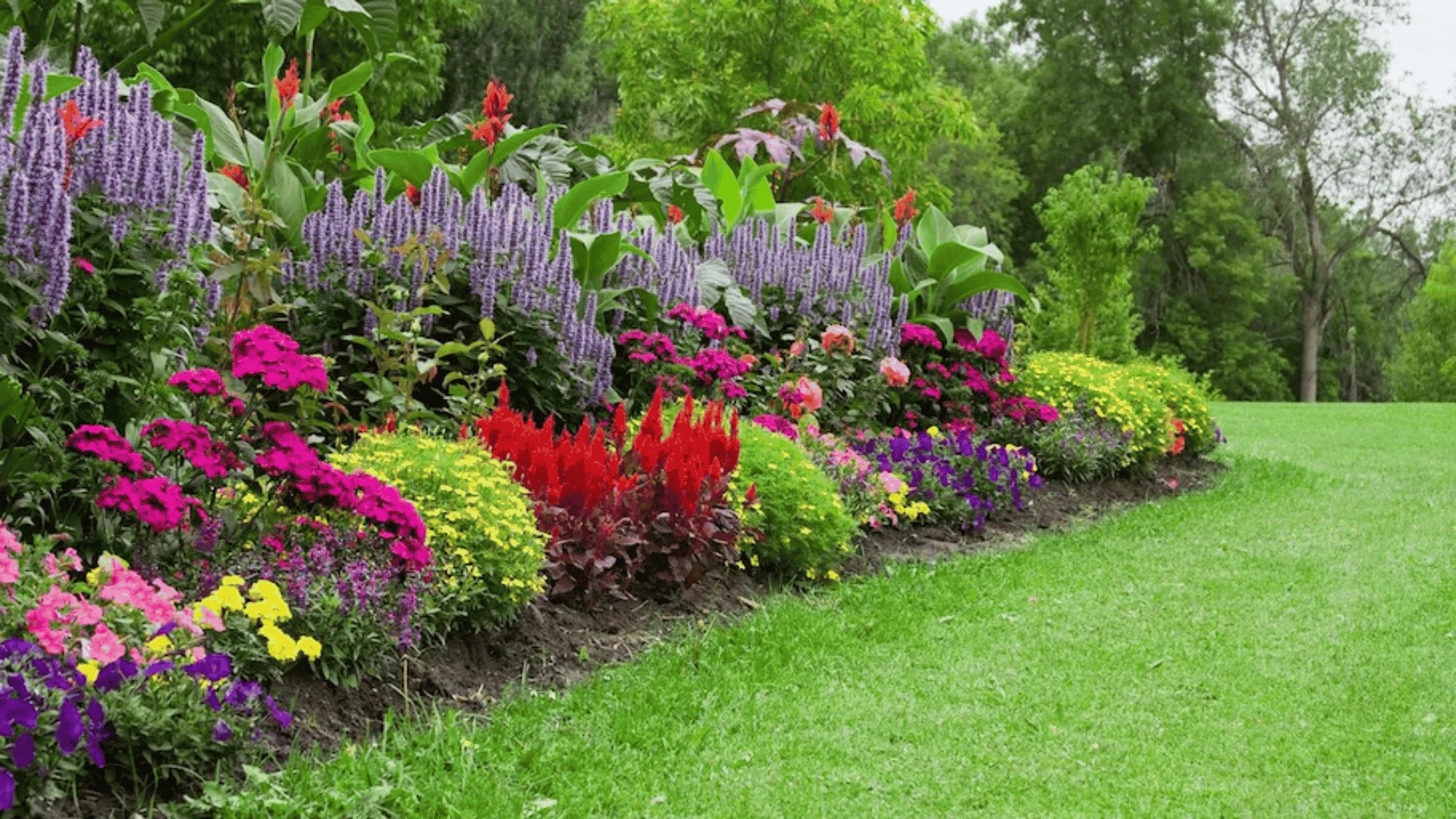 How to Keep Grass out Of Flower Beds?