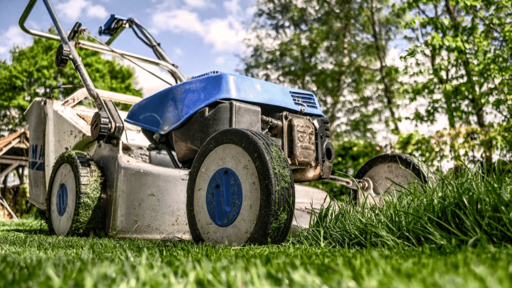 How to Mow Your Lawn Like a Professional
