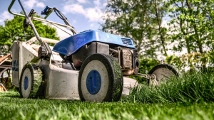 How to Mow Your Lawn Like a Professional