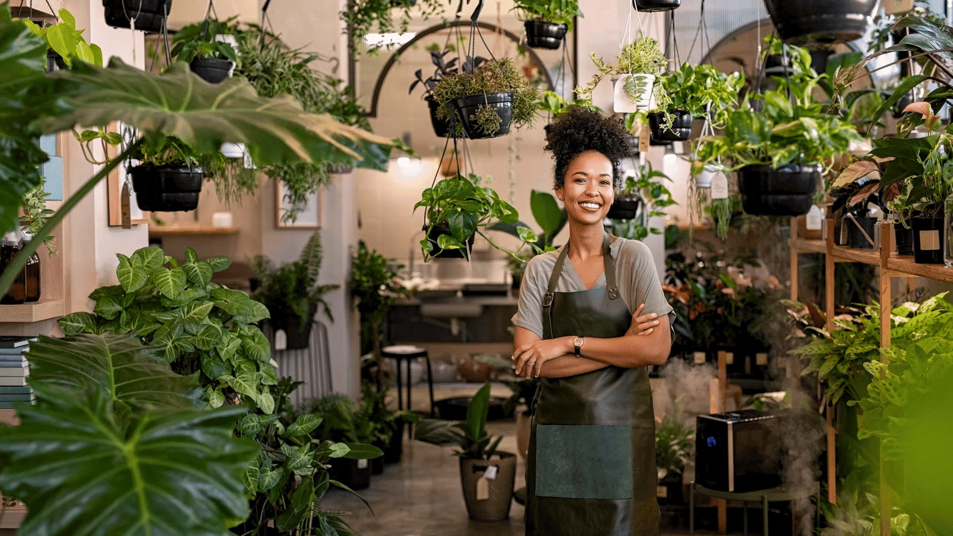 How to Start a Profitable Plant Business from Home?