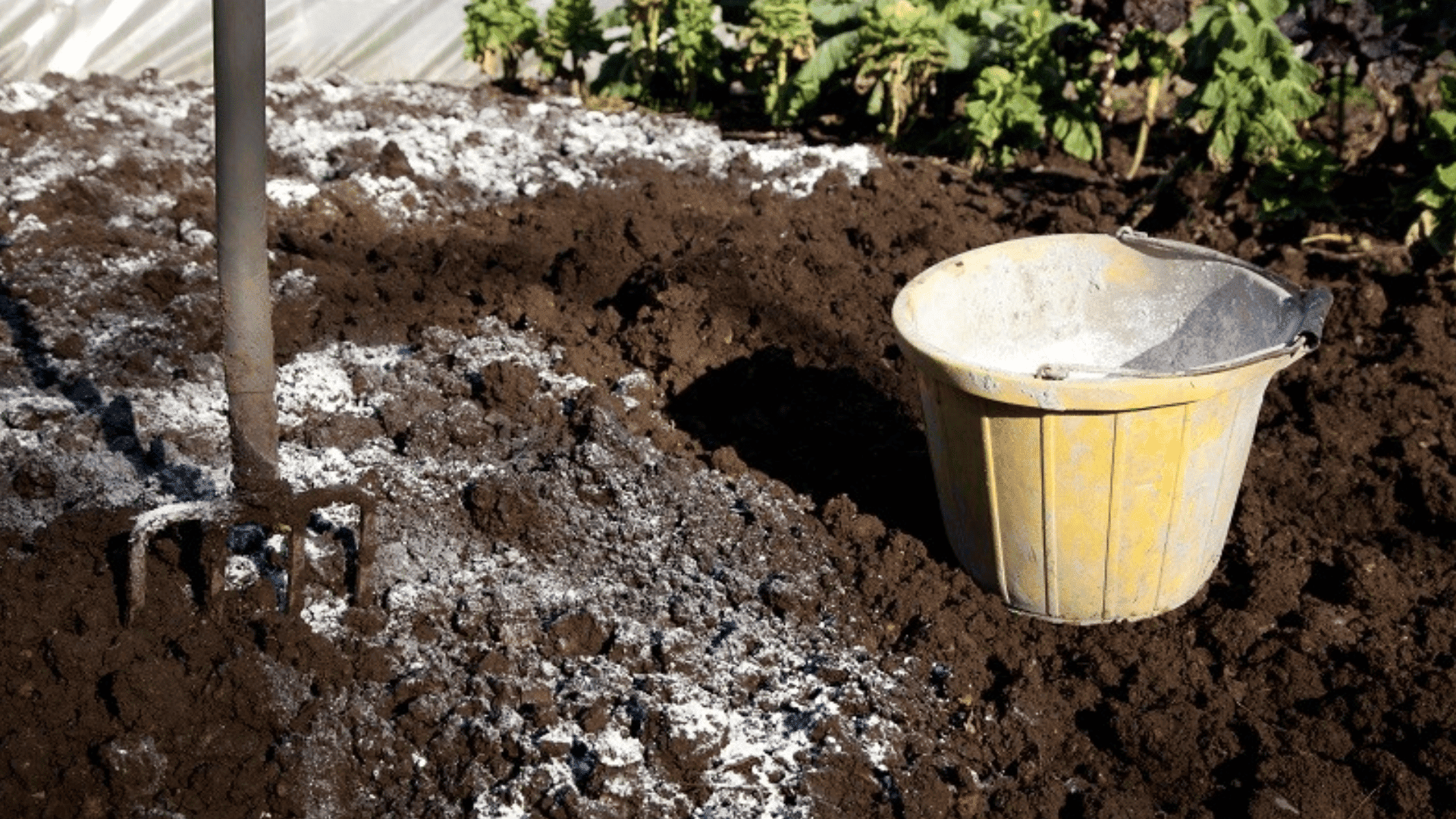 How to Use Soil Conditioner the Easy Way?