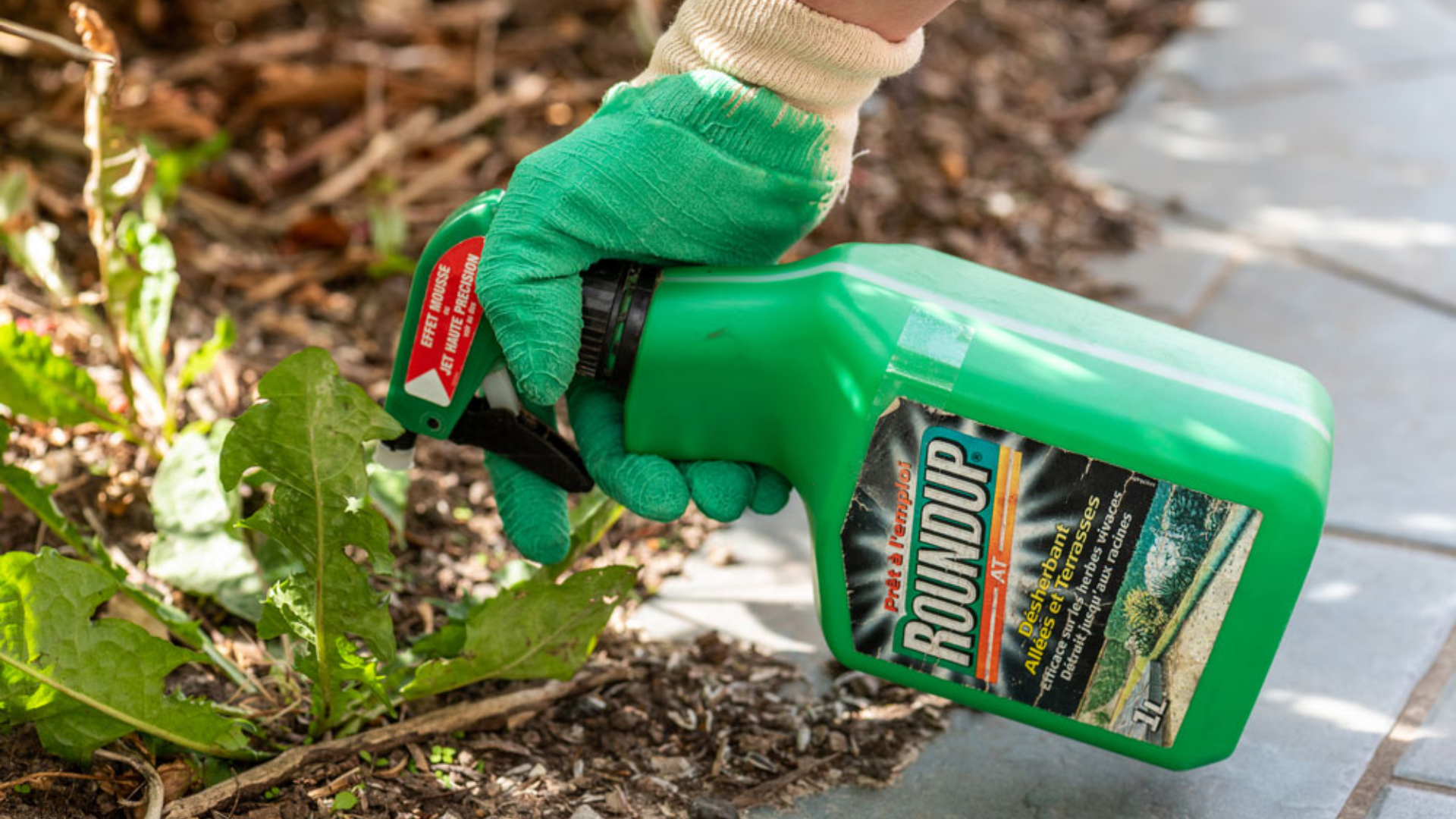 How_Do_Weed_Killers_Work