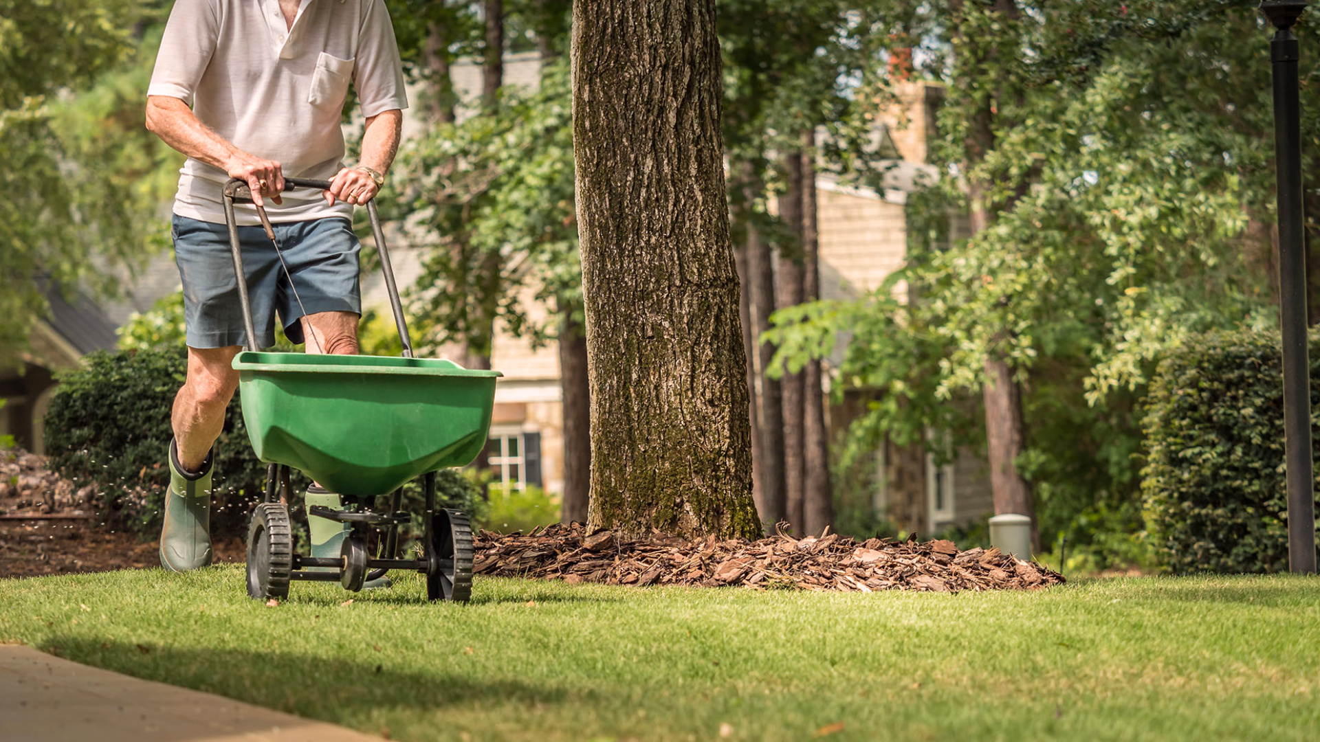 How_Long_Does_Fertilizer_Take_to_Work_Slow-Release_Synthetic