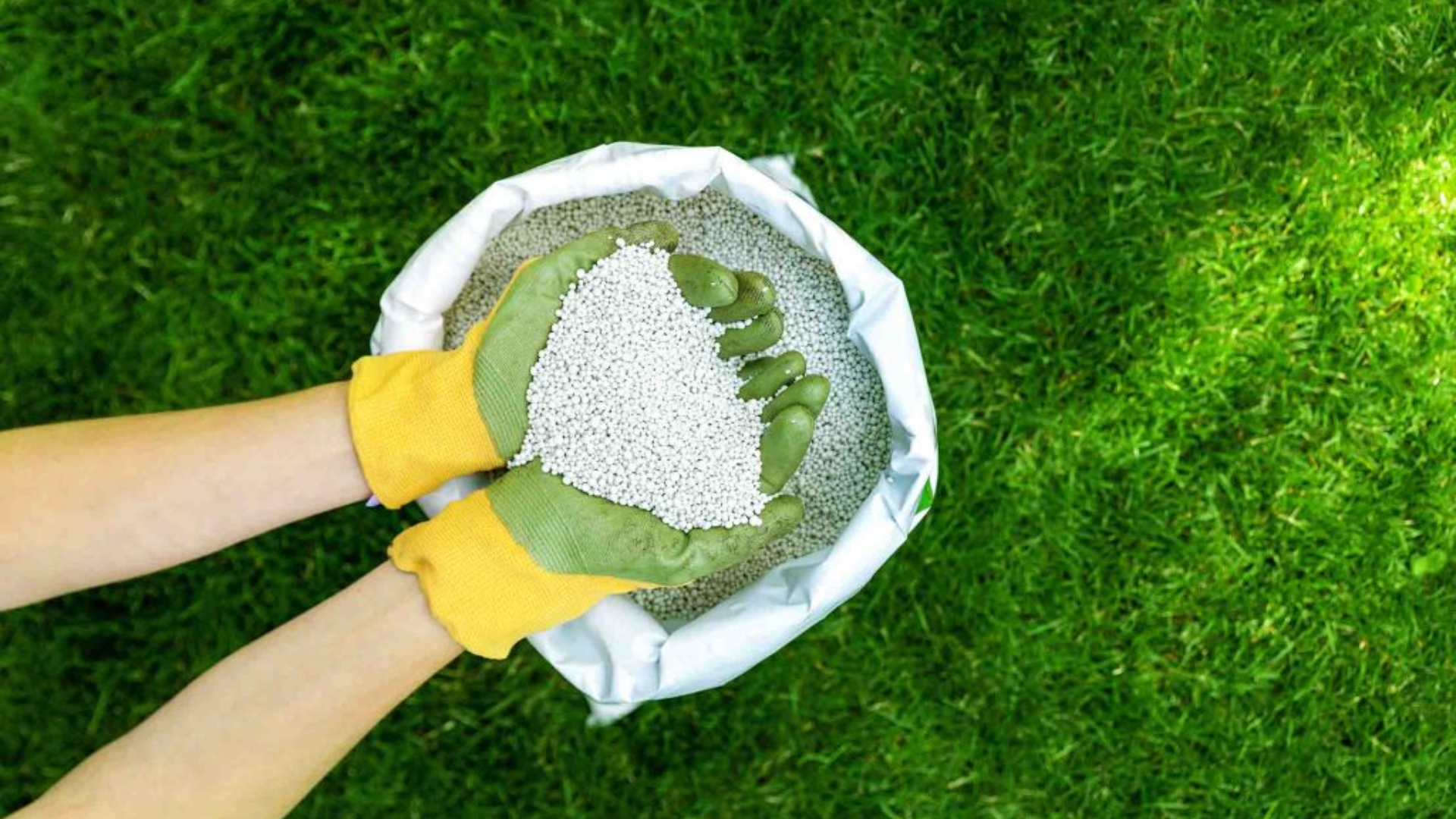 Is Lawn Fertilizer Safe for Dogs?