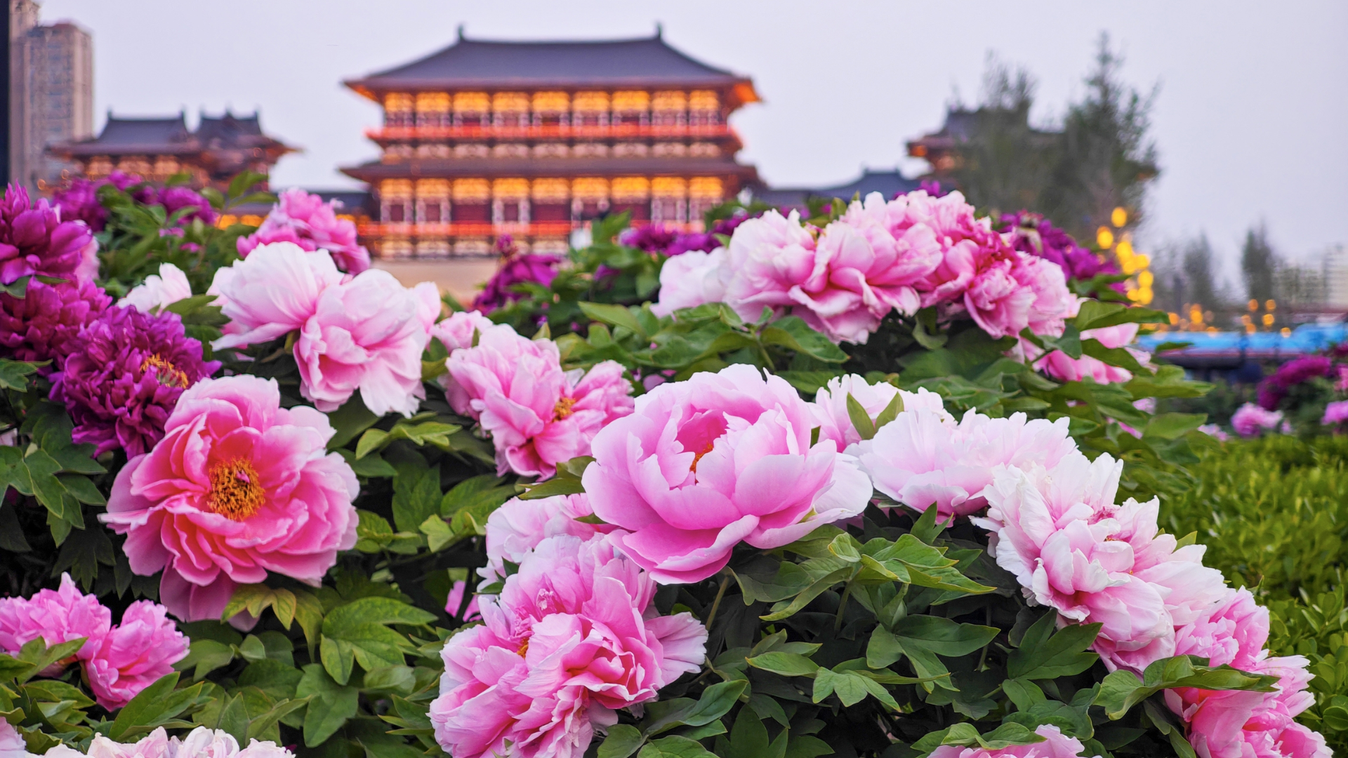 Luoyang_Henan_Province_China