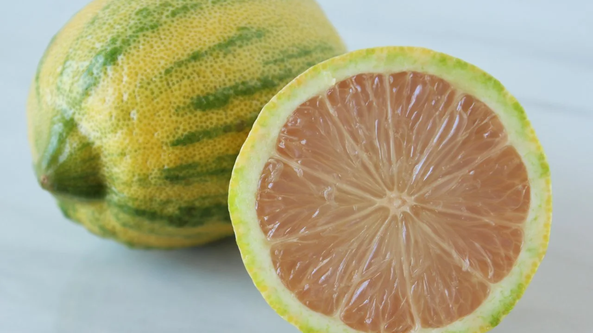 Pink_Lemon_Variegated