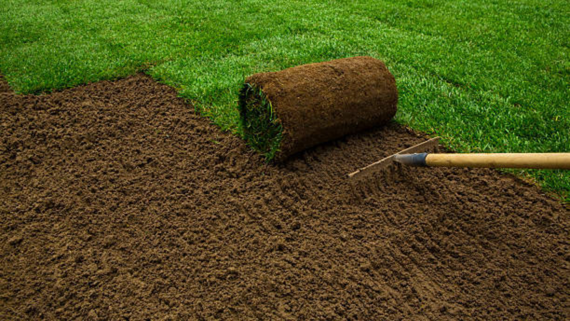 Sod_How_to_Lay_It_Properly