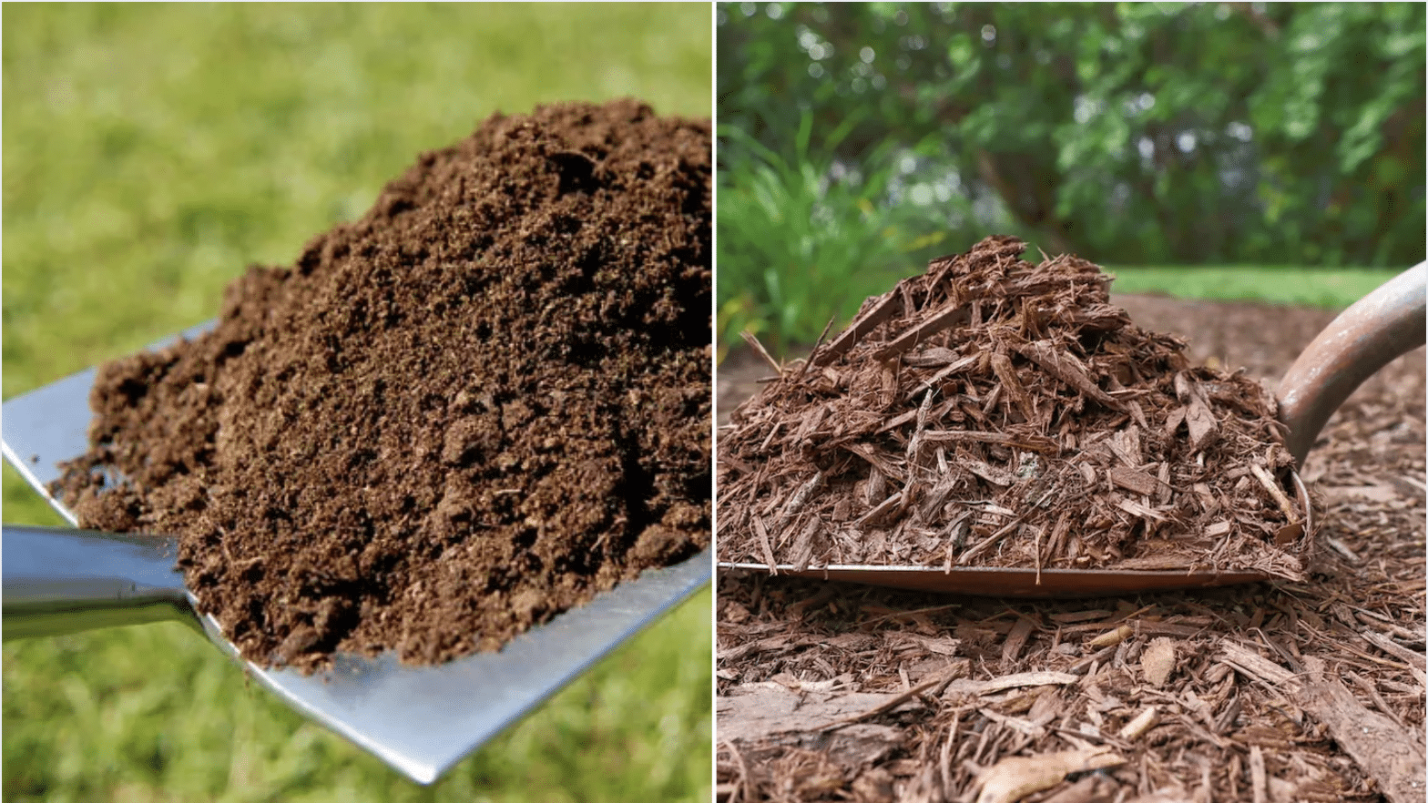 Understanding Topsoil and