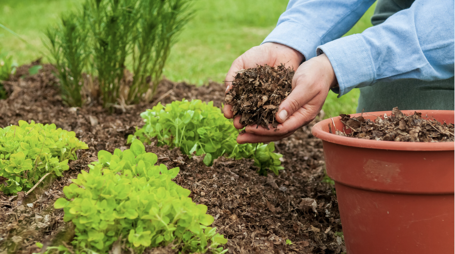 Use Mulch When
