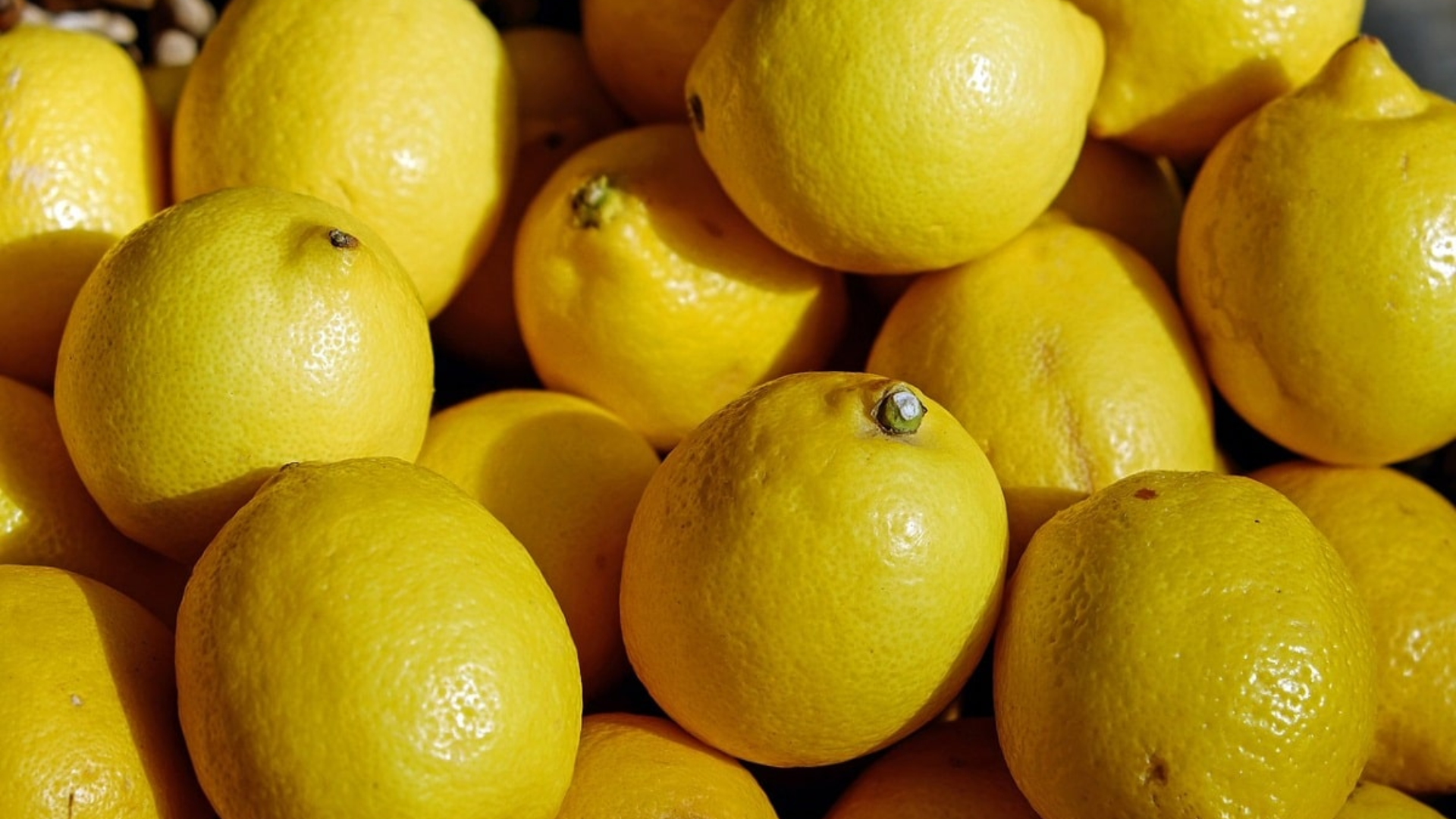 Verna_Lemon