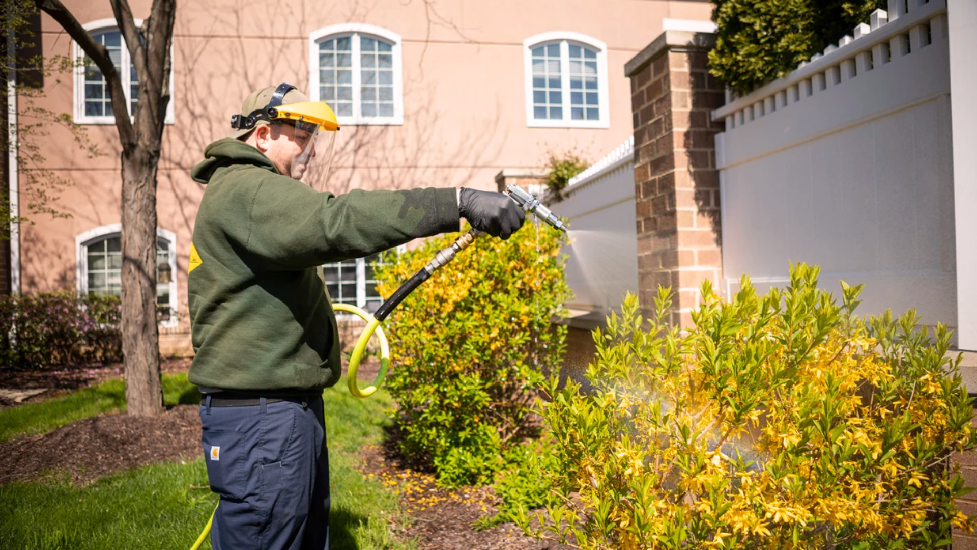 Watering Wisely- What Your Shrub Actually Needs