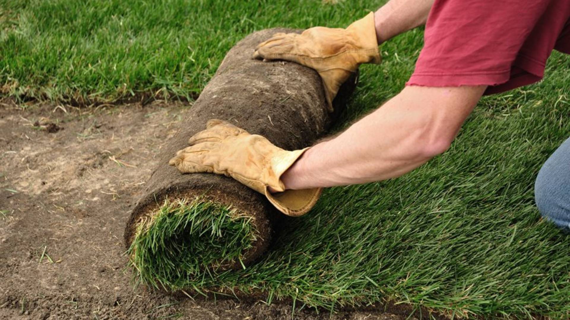 What Is Sod Laying?