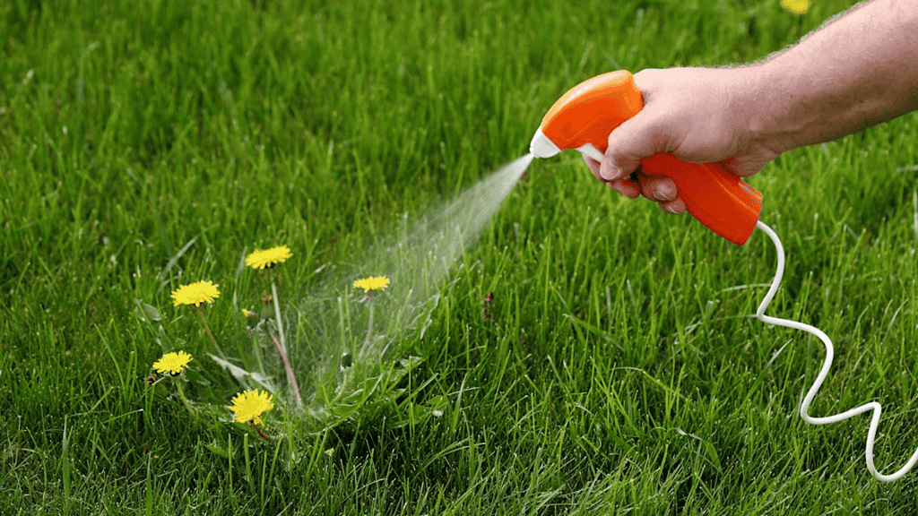 Herbicides Made Easy: How Weed Killers Work - Randy Lemmon
