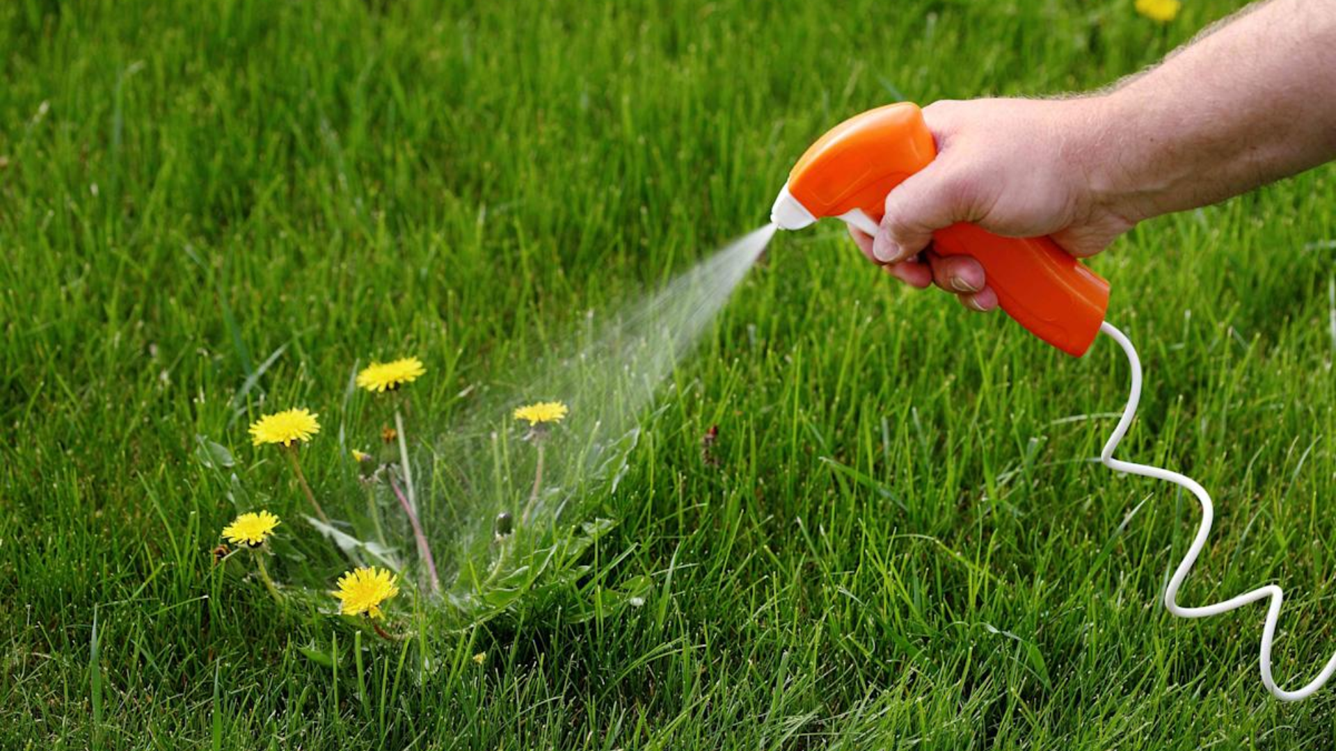 What_Is_a_Herbicide