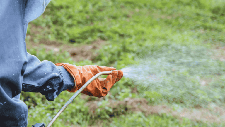 When Is It Too Late to Spray for Weeds?
