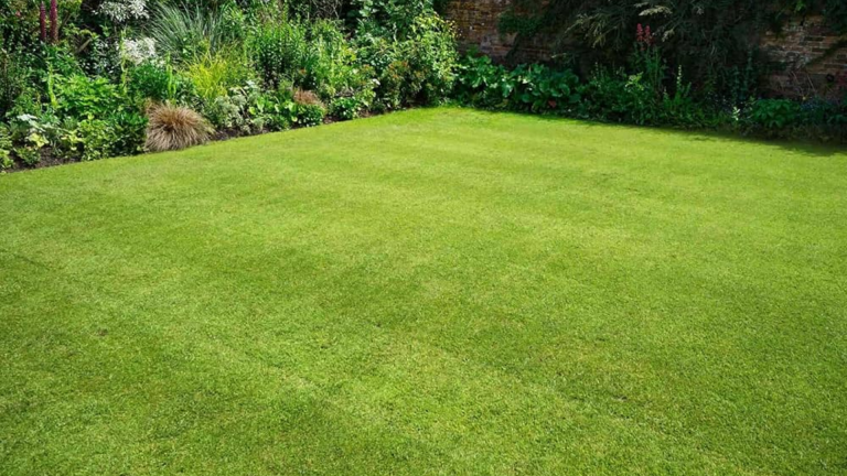 does grass spread