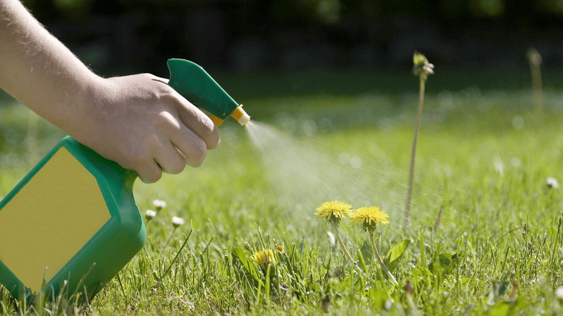 how does weed killer work