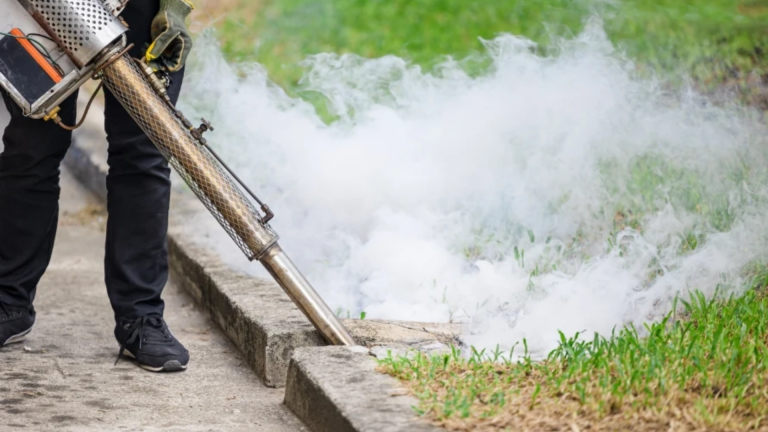 how long does mosquito fogging last