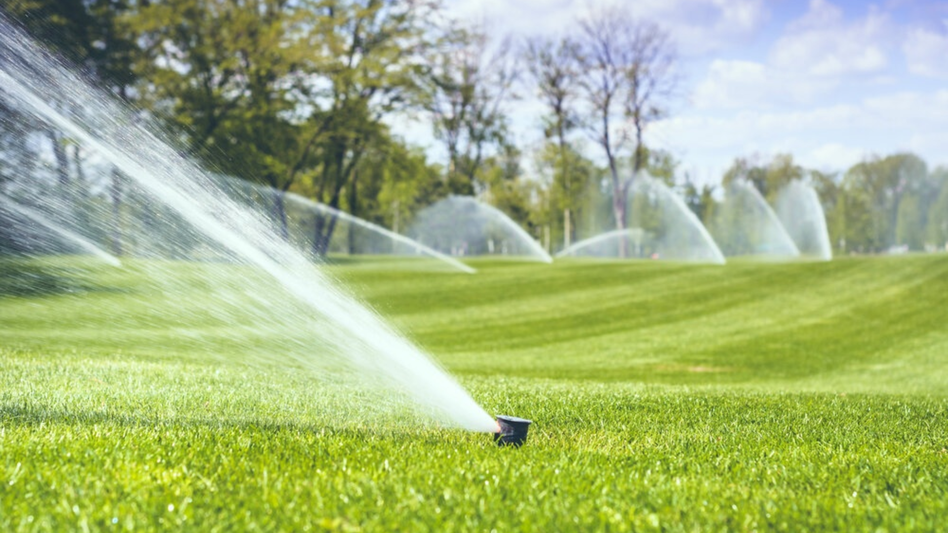 prevent-overwatered-lawn