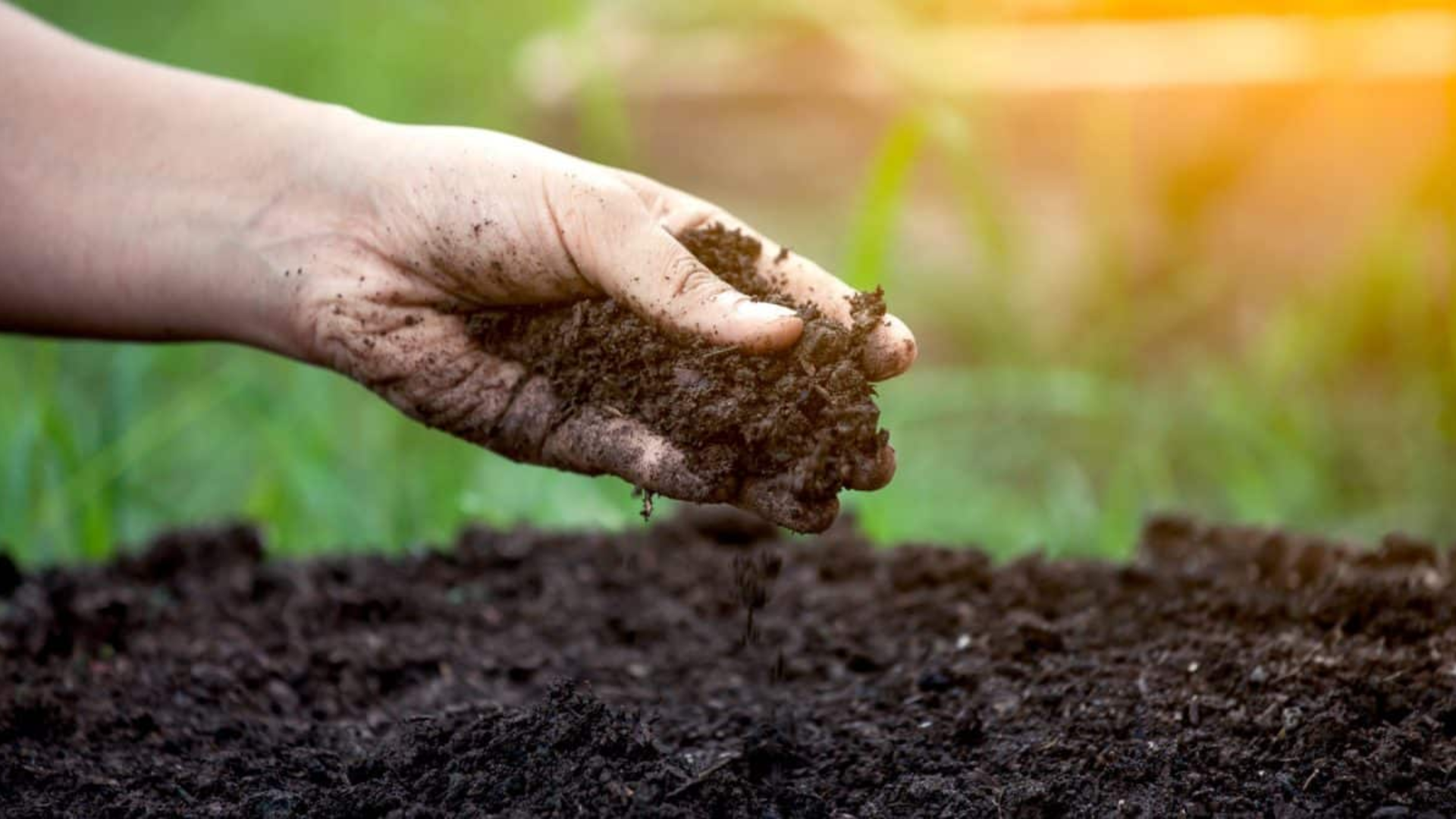 soil conditioner