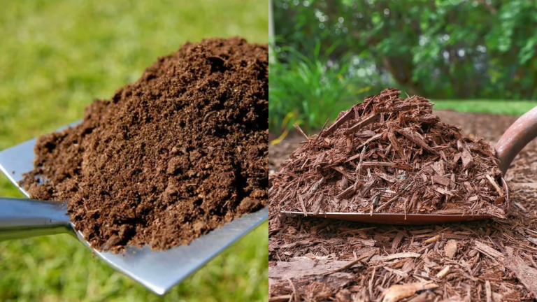 top soil and mulch