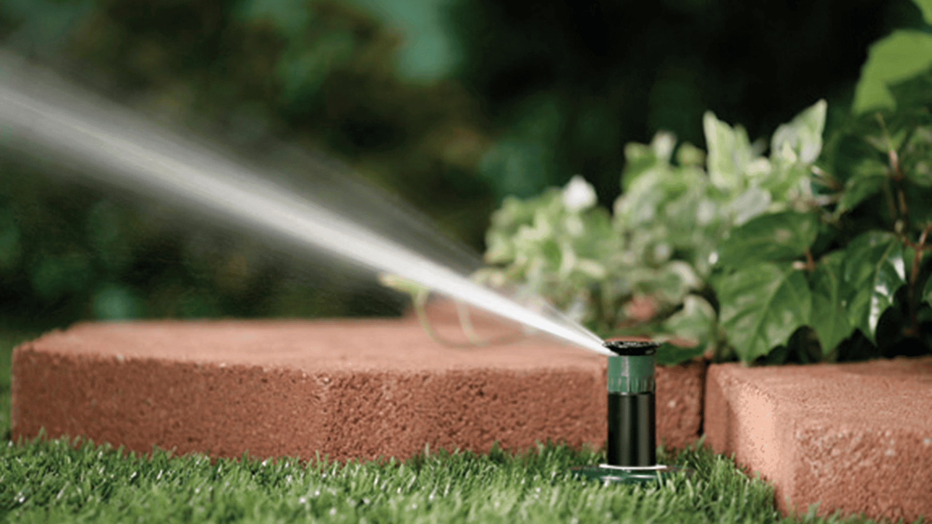 types of sprinkler heads