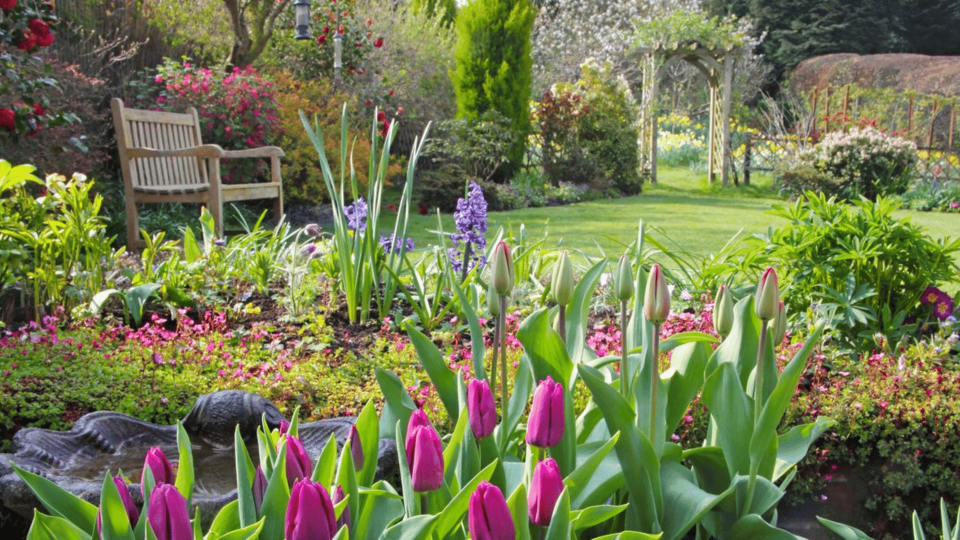 when to plant spring flowers
